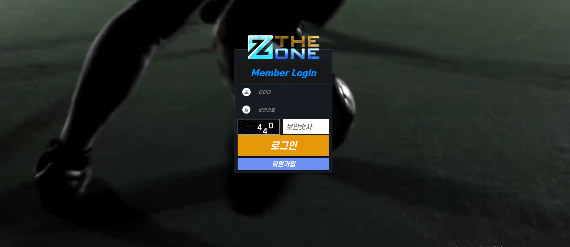 더존.png