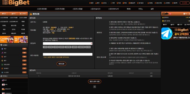 빅벳2.jpg